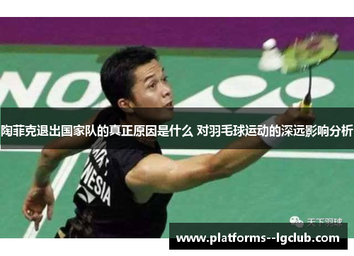 陶菲克退出国家队的真正原因是什么 对羽毛球运动的深远影响分析 陶菲克退出国家队的真正原因是什么 对羽毛球运动的深远影响分析