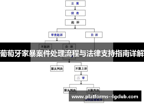葡萄牙家暴案件处理流程与法律支持指南详解